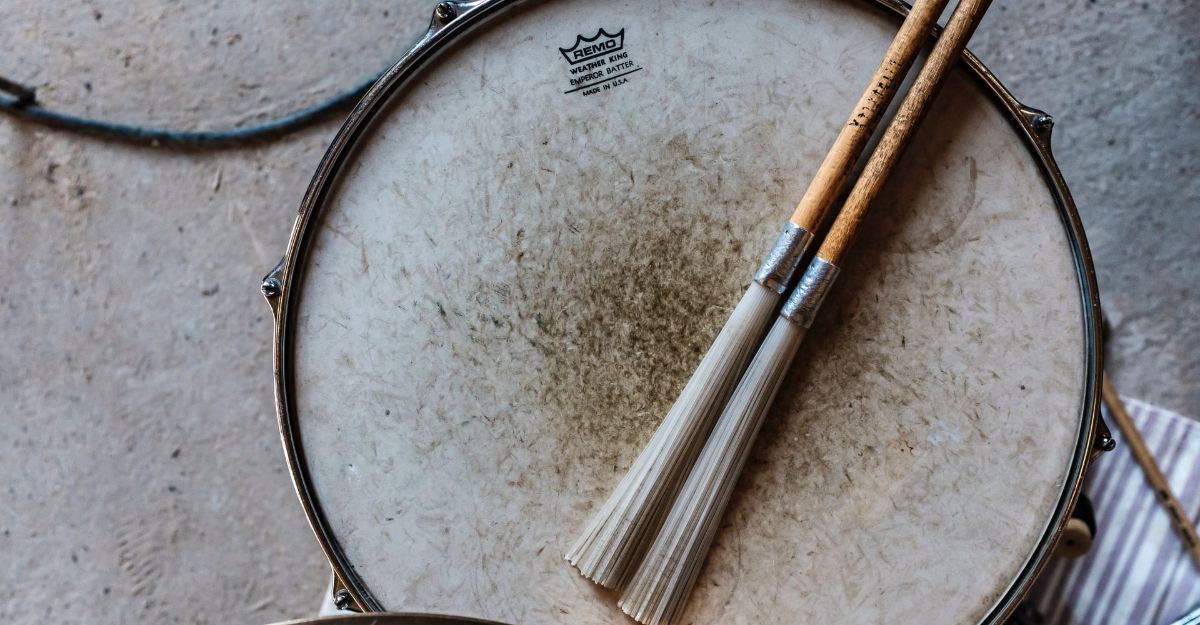 5 Best Drum Brushes For Jazz Music