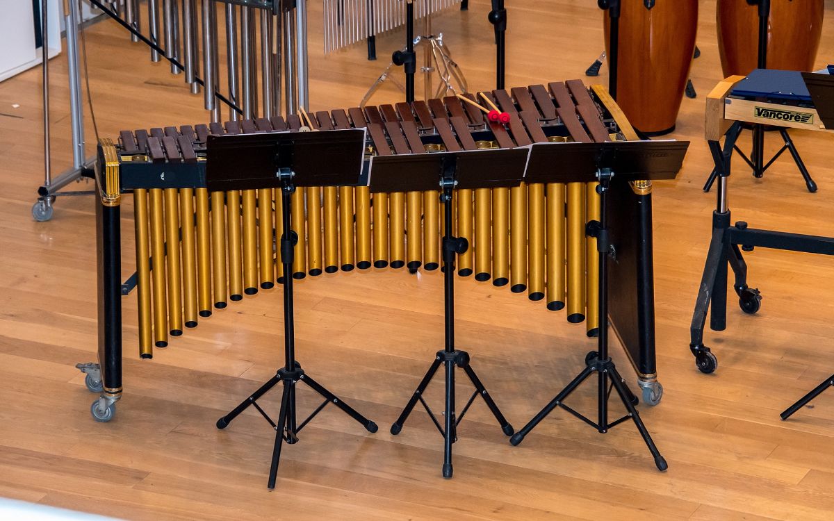 Marimba Vs Xylophone, Vibraphone & Glockenspiel Comparison