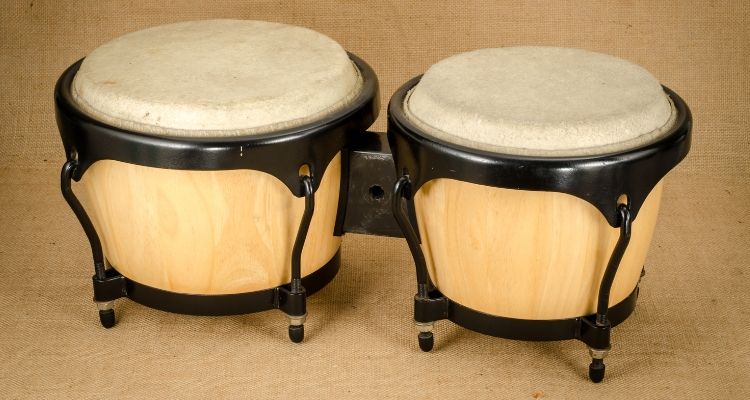 Ultimate Percussion Guide: 43 Types of Percussion Instruments