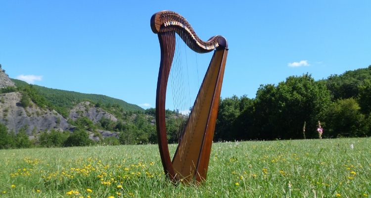 Harp